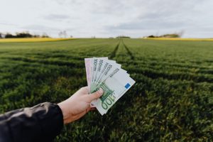 Leva på avkastning från aktier är en dröm för många